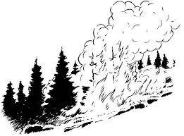 Local landscape installation in Vacaville, CA by Extreme Mowing Services