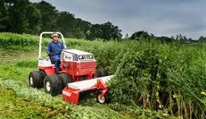 Professional yard cleanup service in Vacaville, CA - Extreme Mowing Services