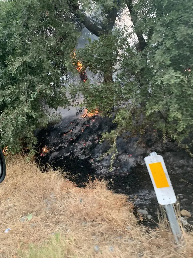 Reliable landscape design in Vacaville, CA by Extreme Mowing Services