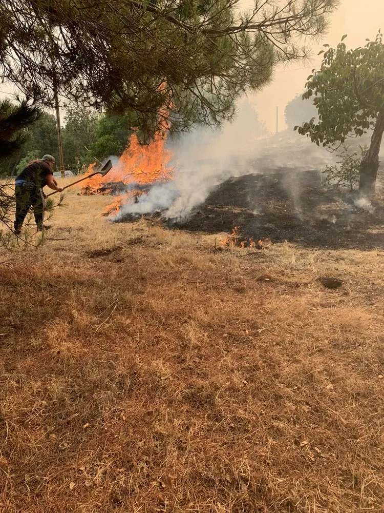 Professional yard cleanup service in Vacaville, CA by Extreme Mowing Services