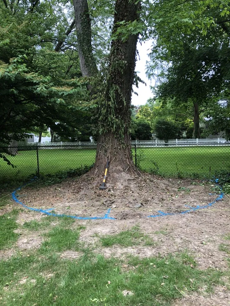 Custom yard maintenance for year-round maintenance in Pennington, NJ by Extreme Outdoor Pros