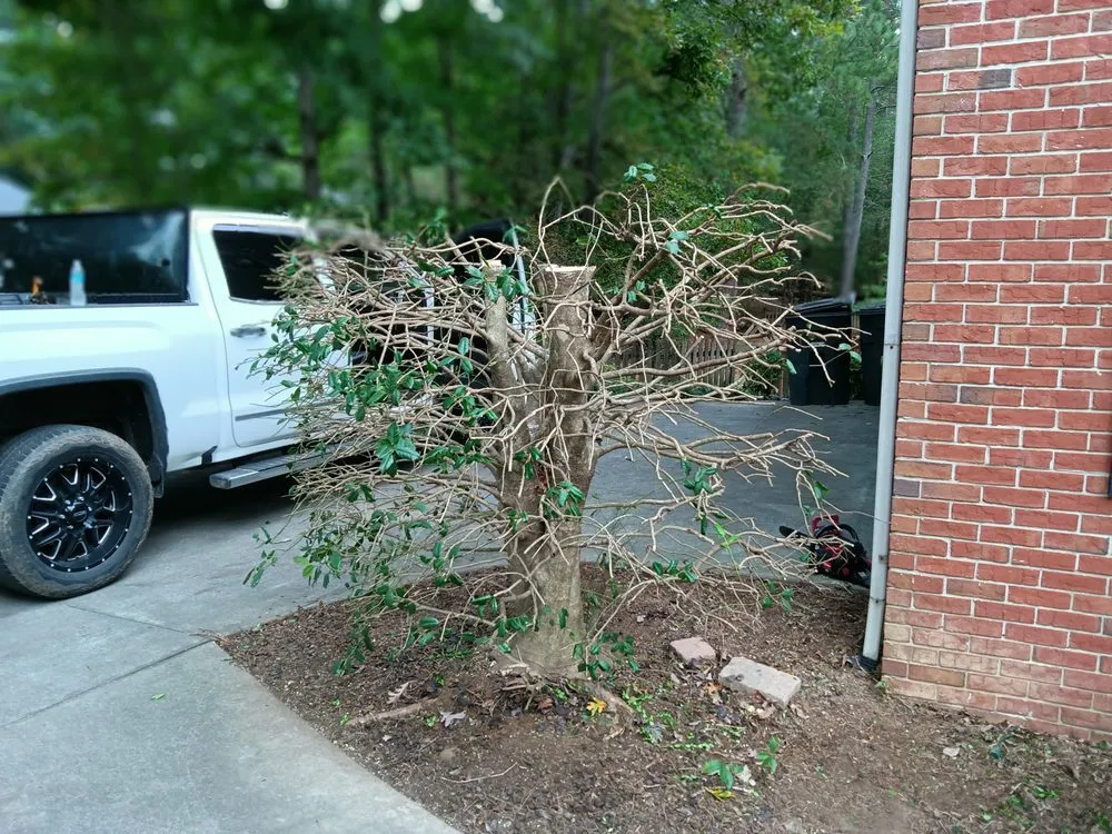 Expert yard maintenance experts serving Jasper, GA - Extreme Outdoor Services