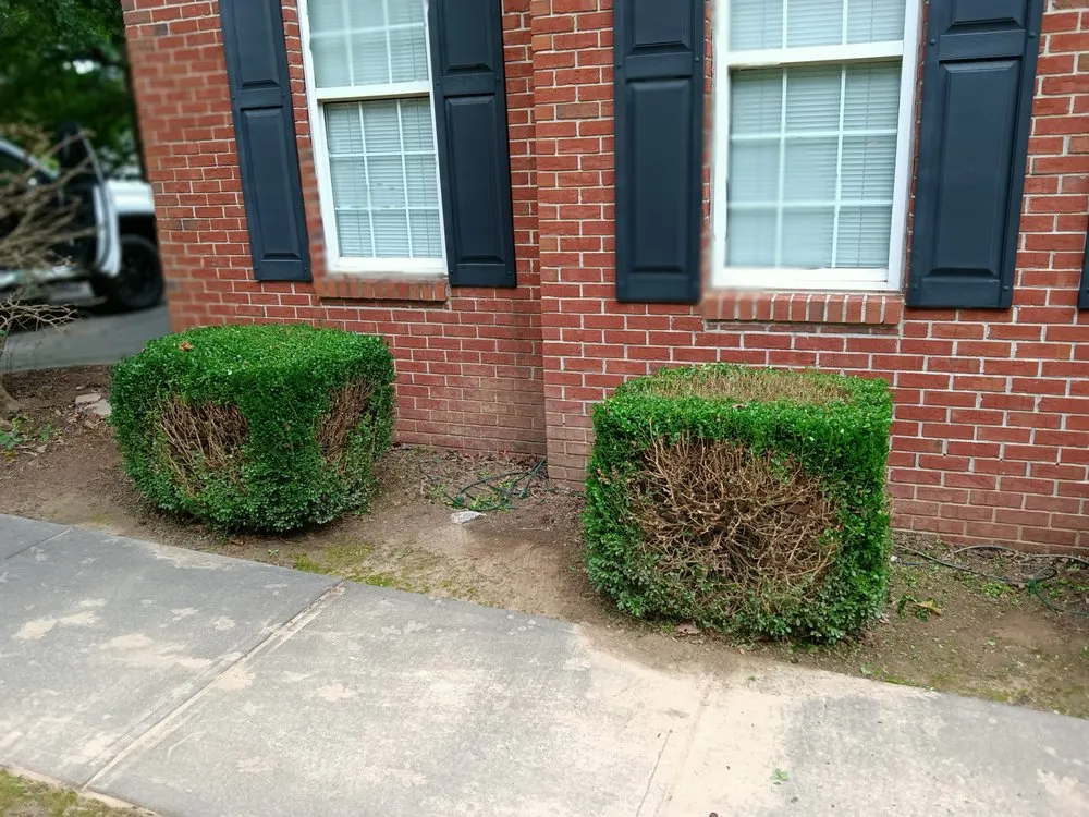 Custom yard cleanup service experts serving Jasper, GA - Extreme Outdoor Services