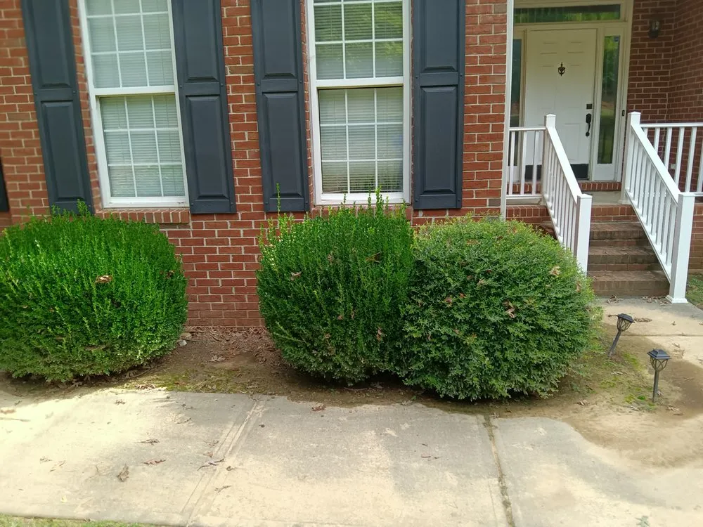 Expert lawn mowing service experts serving Jasper, GA - Extreme Outdoor Services
