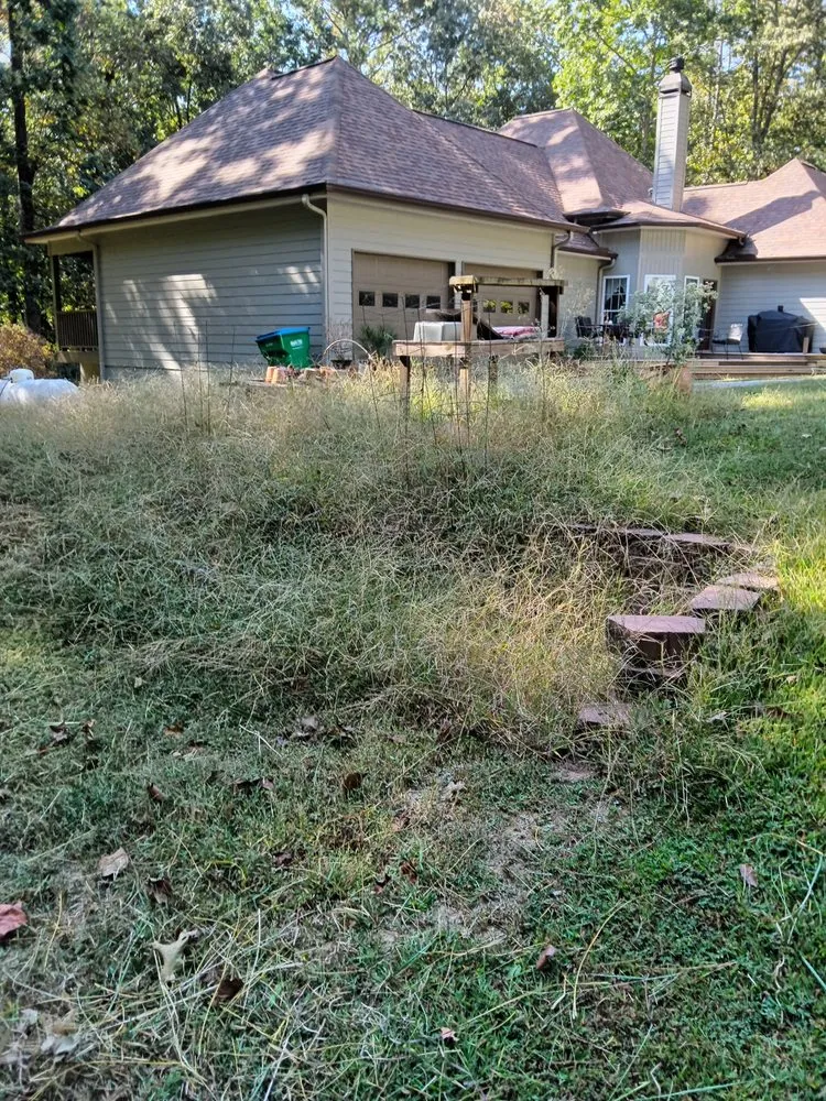 Affordable yard cleanup service in Jasper, GA by Extreme Outdoor Services