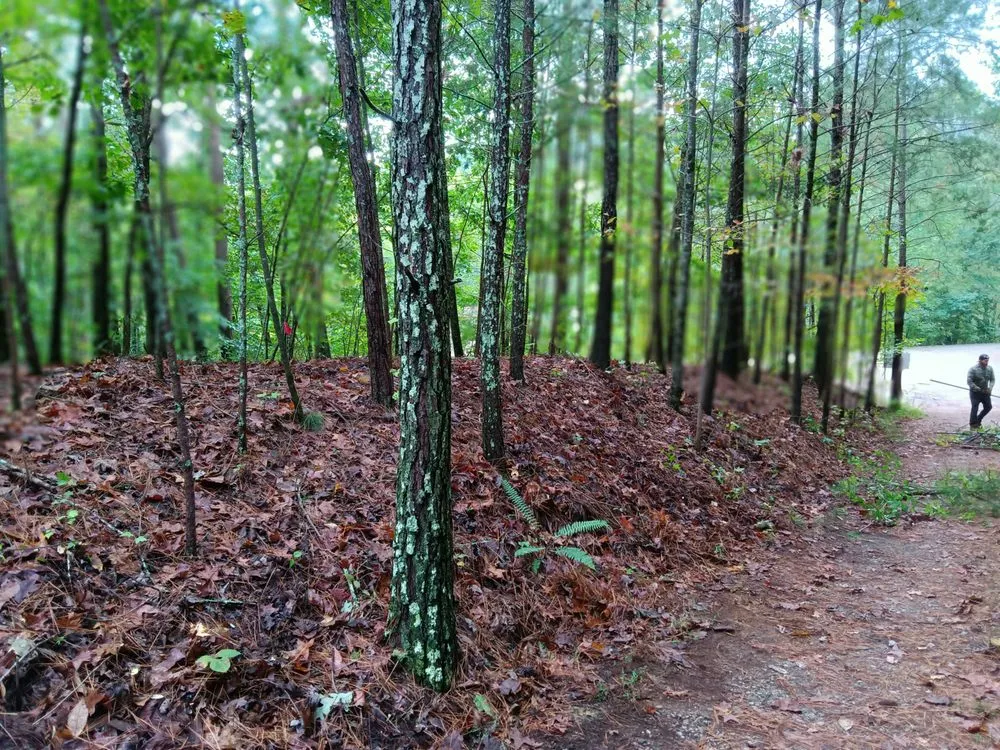 Expert landscape installation experts serving Jasper, GA - Extreme Outdoor Services