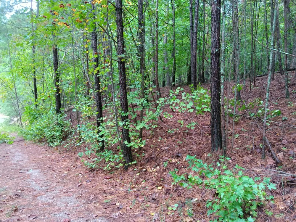 Reliable garden landscaping in Jasper, GA - Extreme Outdoor Services