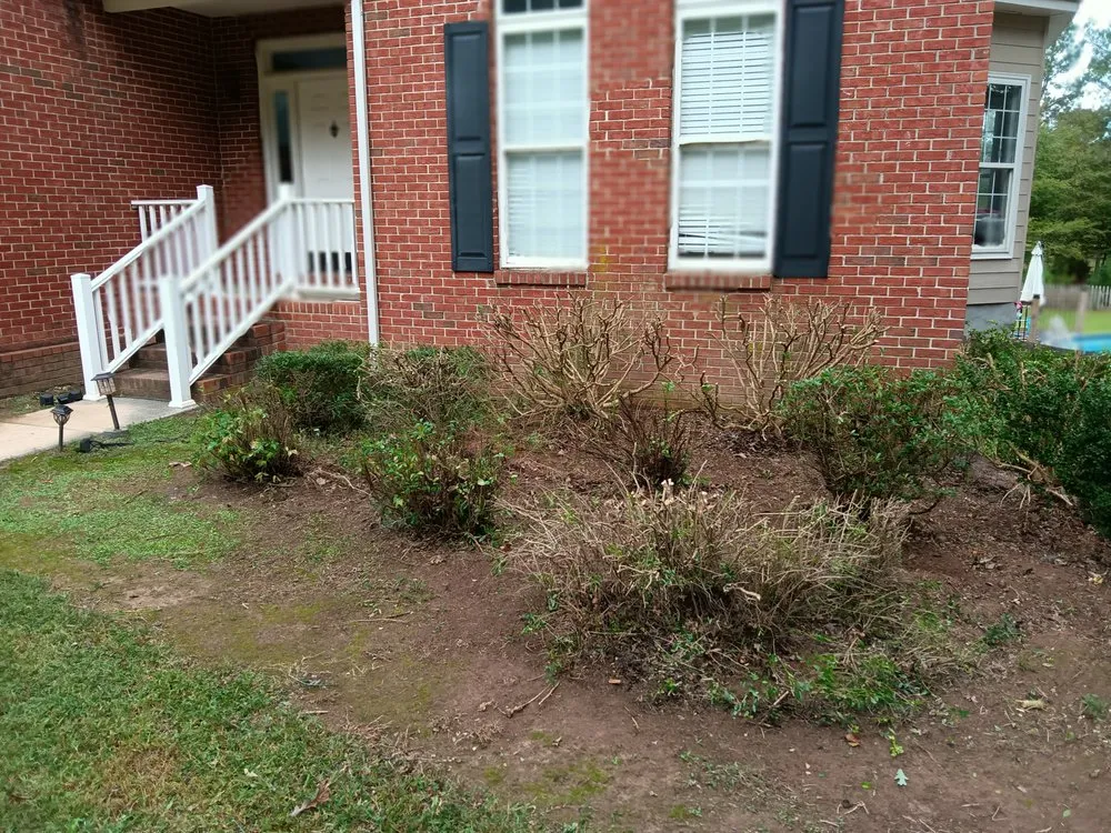 Custom lawn mowing service in Jasper, GA by Extreme Outdoor Services