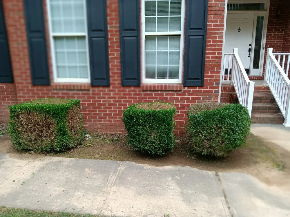 Trusted lawn care service in Jasper, GA - Extreme Outdoor Services