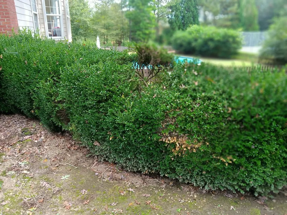 Reliable residential landscaping experts serving Jasper, GA - Extreme Outdoor Services