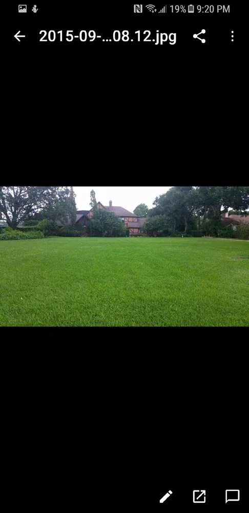 Affordable outdoor landscaping in Sorrento, FL - Extreme Pest Management
