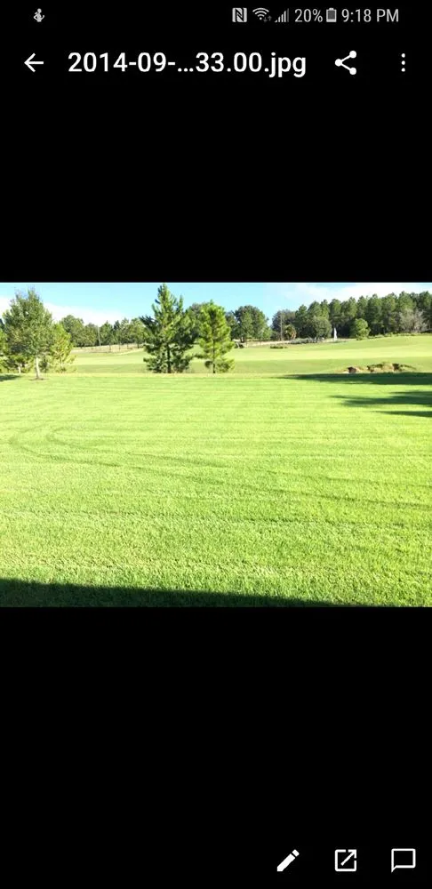 Affordable outdoor landscaping near you in Sorrento, FL by Extreme Pest Management
