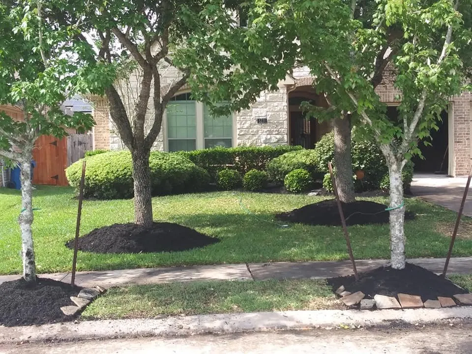 Reliable landscape installation for outdoor upgrades in Wharton, TX by Extreme Services