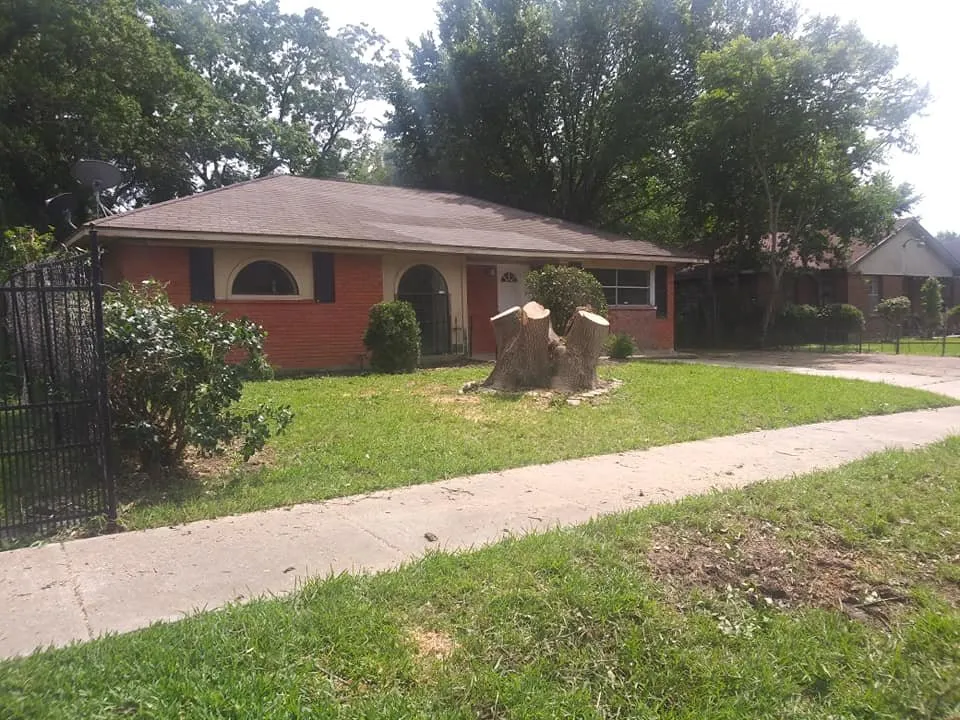 Custom lawn care service in Wharton, TX - Extreme Services