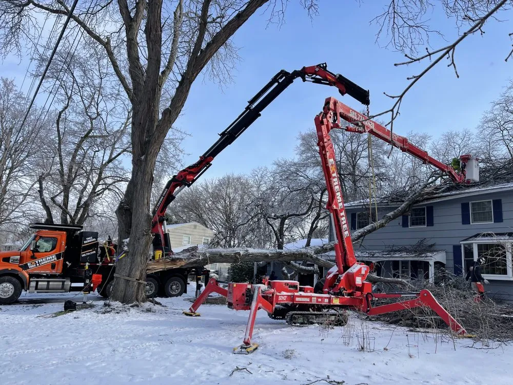 Trusted yard maintenance experts serving Bloomfield, NY - Extreme Tree and Landscape