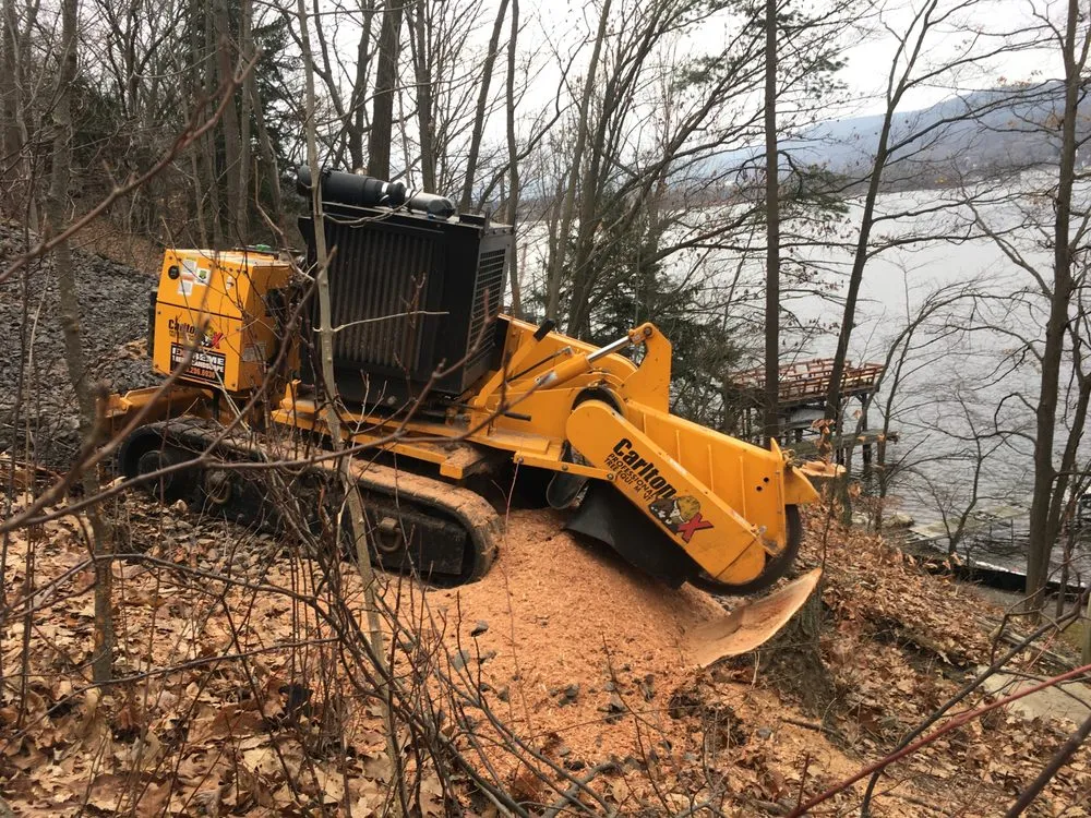 Local lawn mowing service for year-round maintenance in Bloomfield, NY by Extreme Tree and Landscape