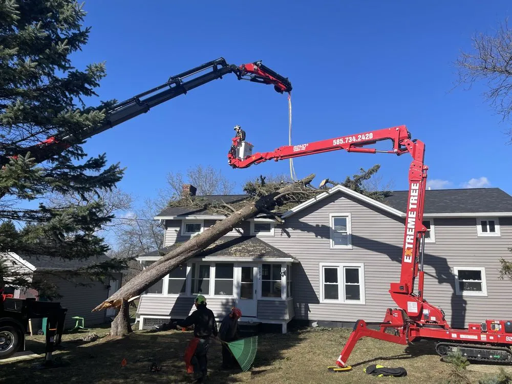 Local landscape installation near you across Bloomfield, NY - Extreme Tree and Landscape