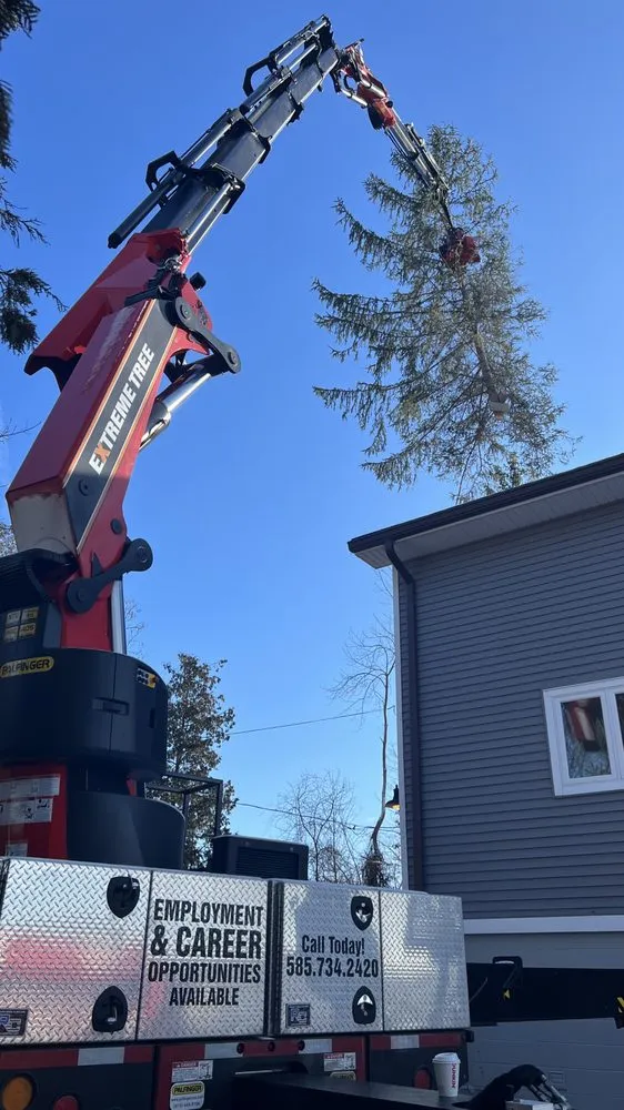 Expert residential landscaping in Bloomfield, NY - Extreme Tree and Landscape