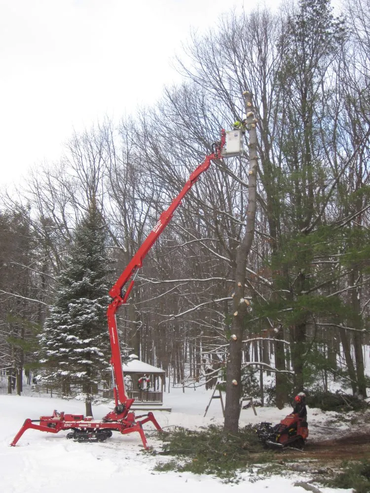 Professional yard cleanup service for residential properties in Bloomfield, NY by Extreme Tree and Landscape