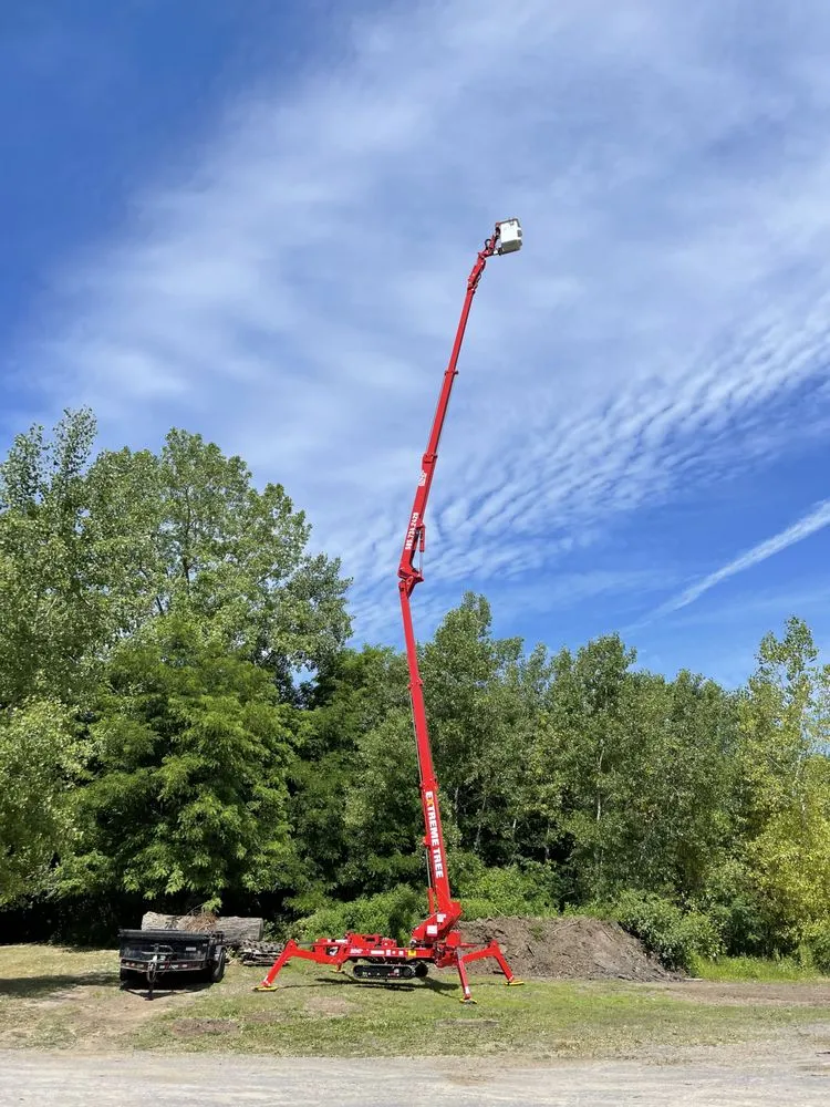 Custom yard cleanup service in Bloomfield, NY by Extreme Tree and Landscape