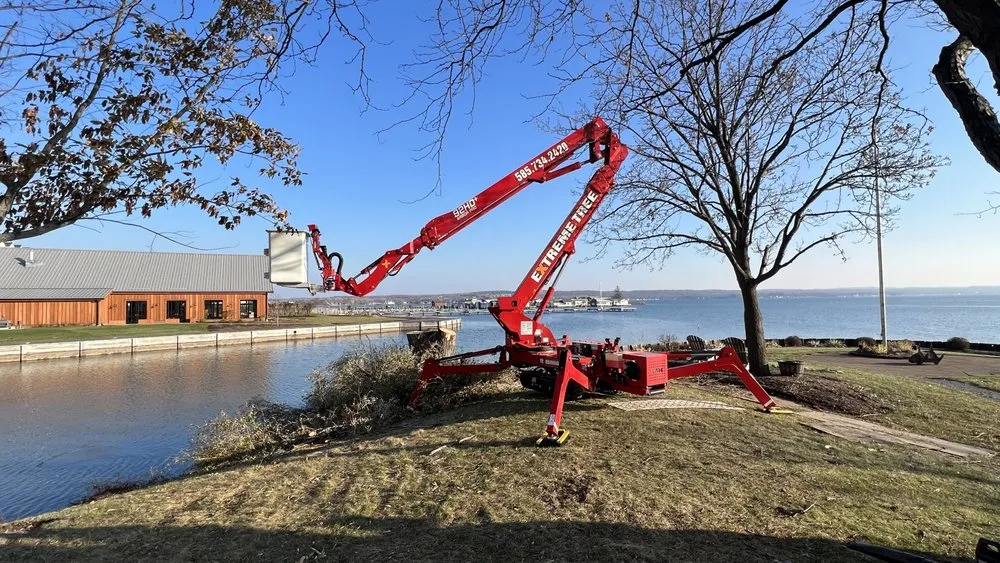 Affordable lawn care service in Bloomfield, NY by Extreme Tree and Landscape