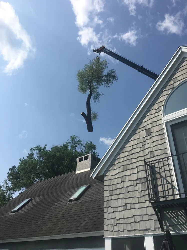 Local landscape design in Bloomfield, NY by Extreme Tree and Landscape