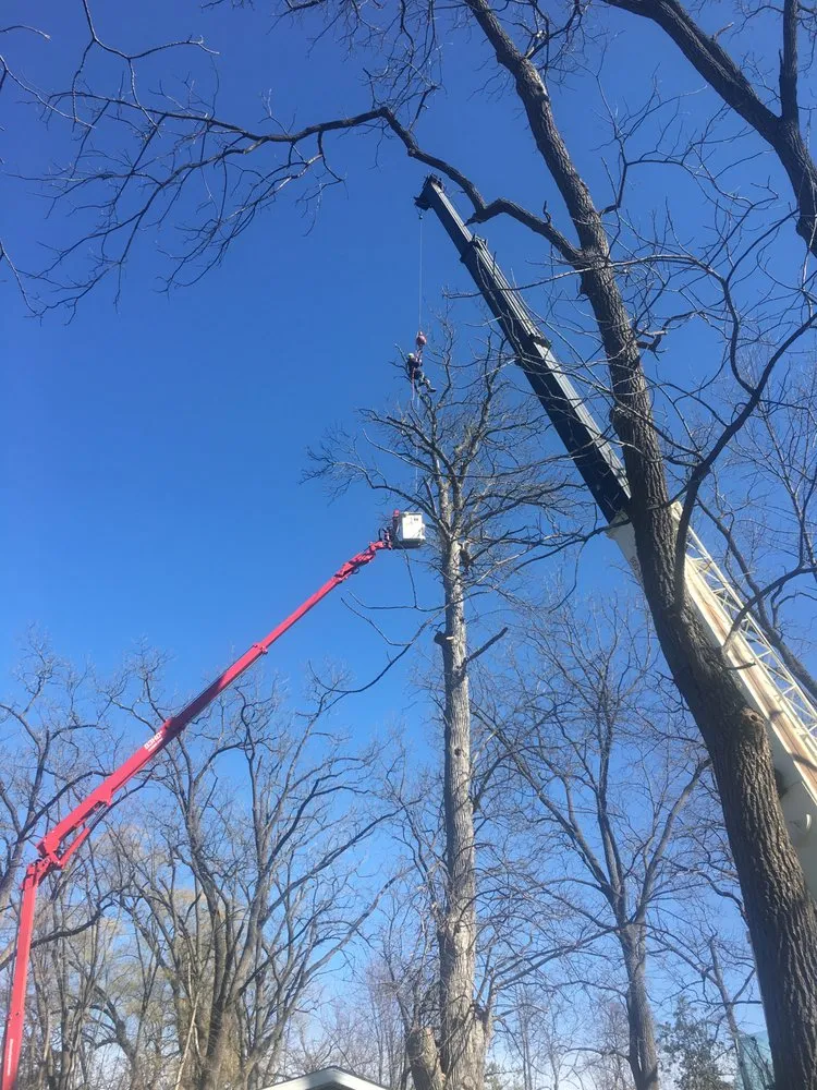 Top-rated lawn care service for homes in Bloomfield, NY by Extreme Tree and Landscape