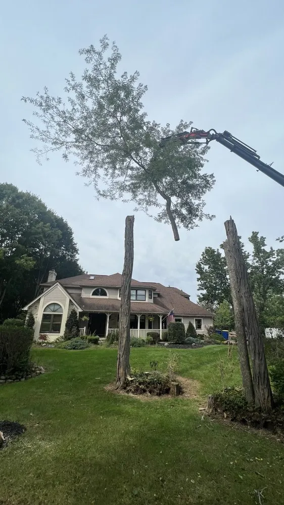 Trusted yard cleanup service in Bloomfield, NY - Extreme Tree and Landscape