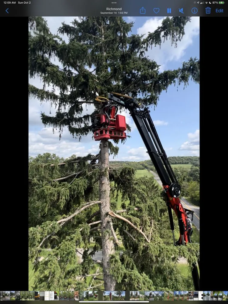 Local outdoor landscaping in Bloomfield, NY by Extreme Tree and Landscape