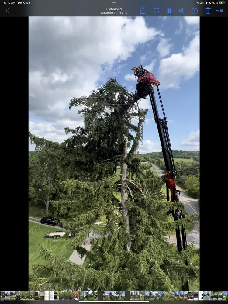 Affordable yard maintenance in Bloomfield, NY - Extreme Tree and Landscape