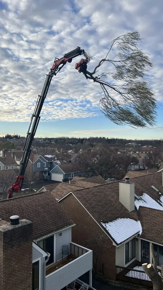 Reliable residential landscaping for beautiful yards across Bloomfield, NY - Extreme Tree and Landscape