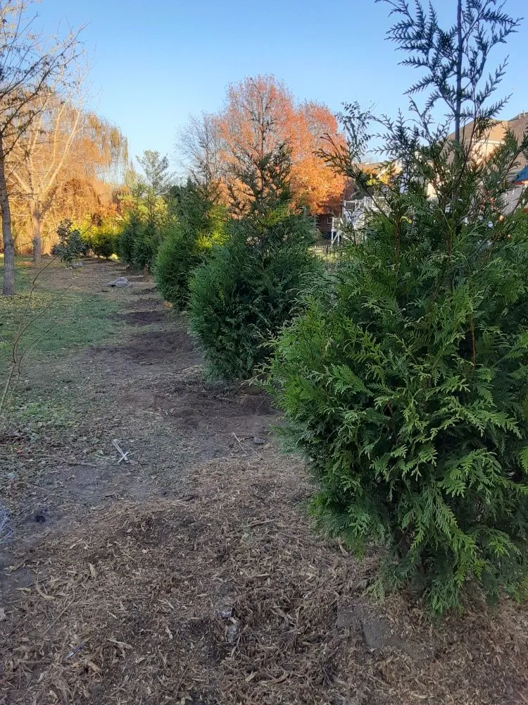 Custom landscaping services experts serving Nolensville, TN - Extreme Tree and Landscapes