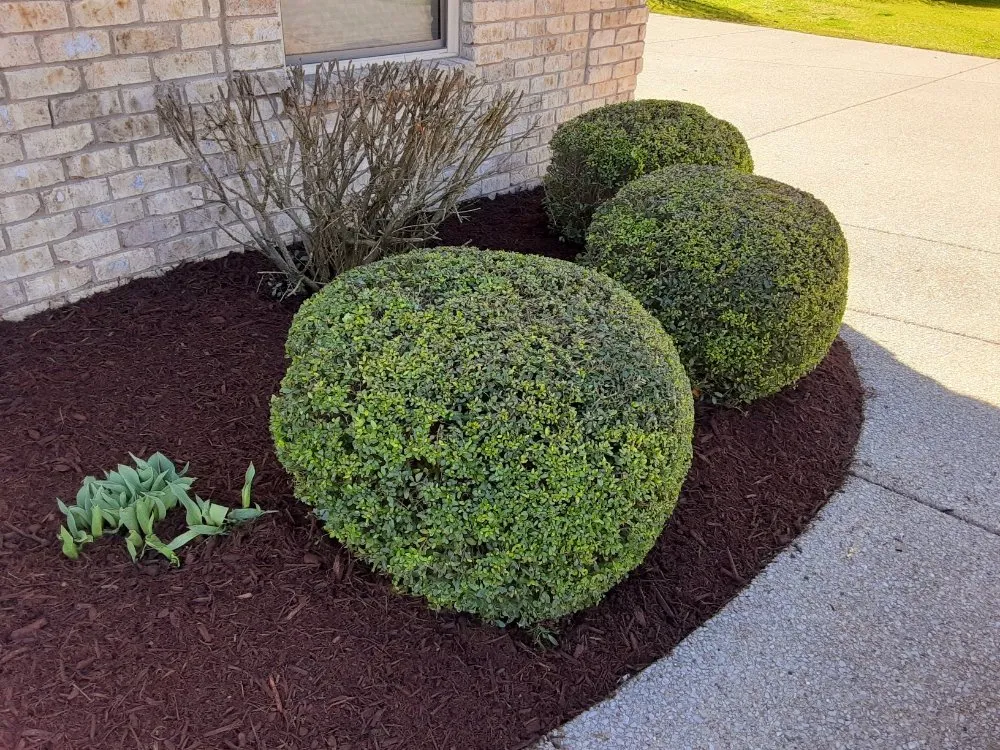 Professional lawn mowing service in Nolensville, TN by Extreme Tree and Landscapes