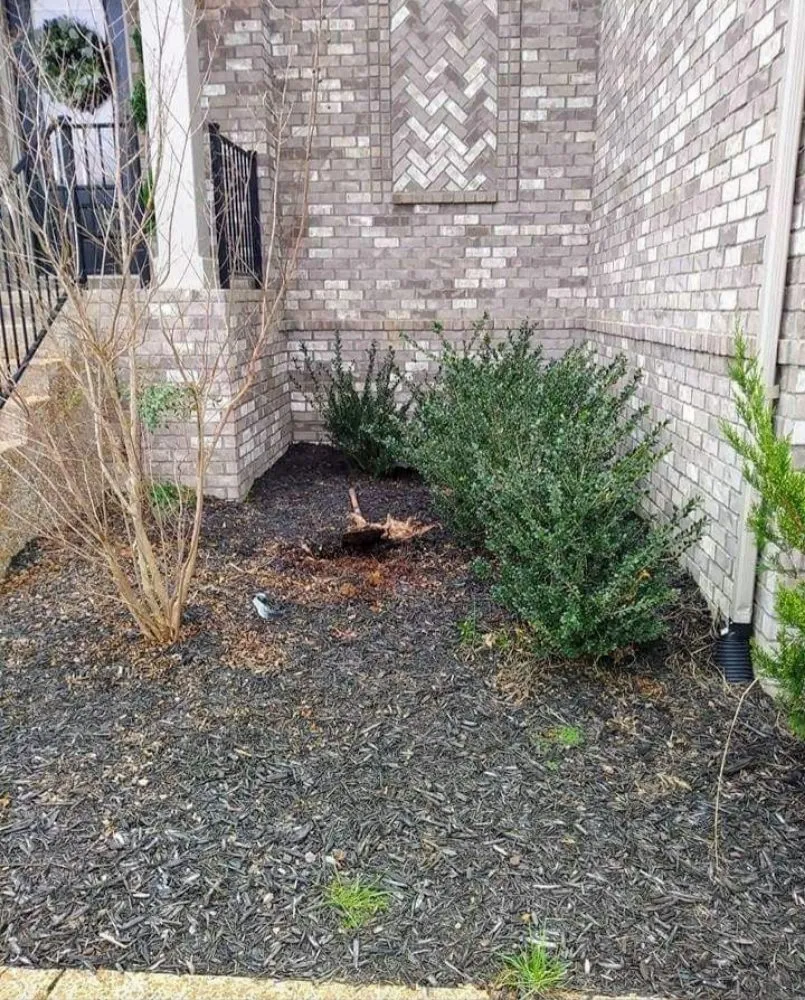 Local residential landscaping for year-round maintenance across Nolensville, TN - Extreme Tree and Landscapes