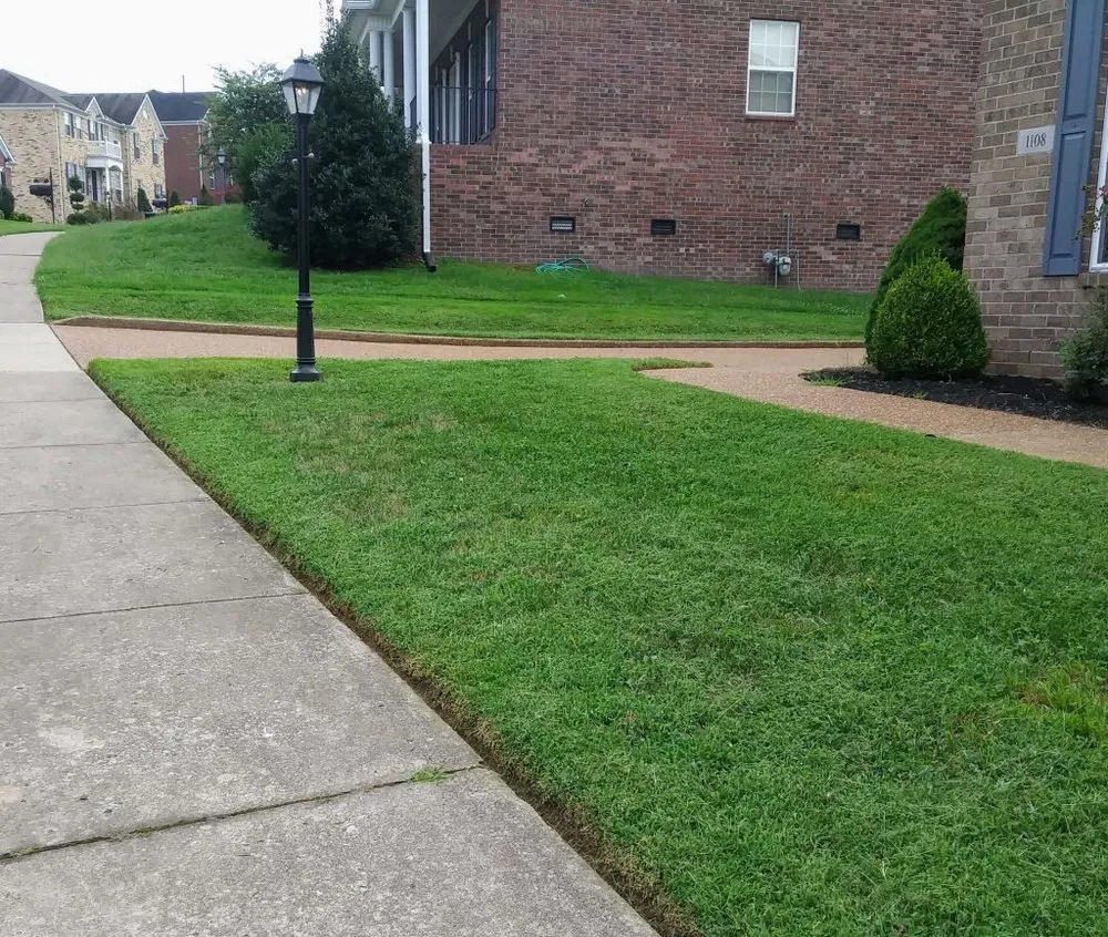 Professional yard maintenance with custom design in Nolensville, TN by Extreme Tree and Landscapes