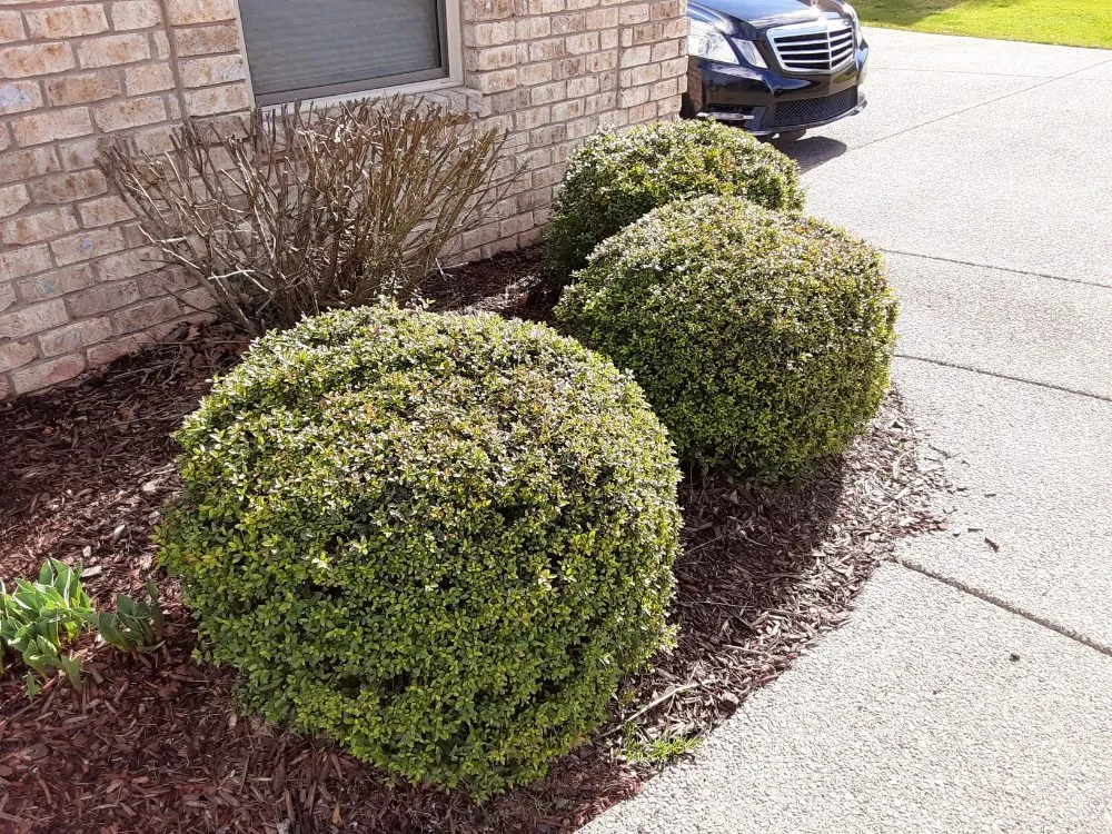 Local outdoor landscaping in Nolensville, TN by Extreme Tree and Landscapes