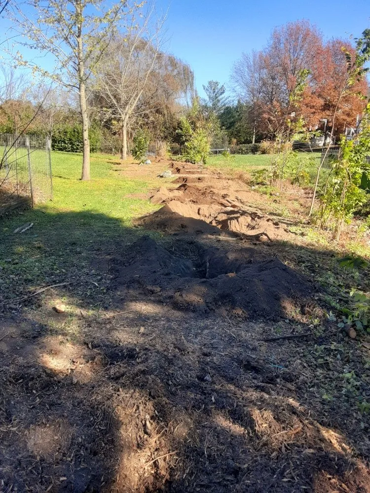 Custom landscaping services in Nolensville, TN - Extreme Tree and Landscapes