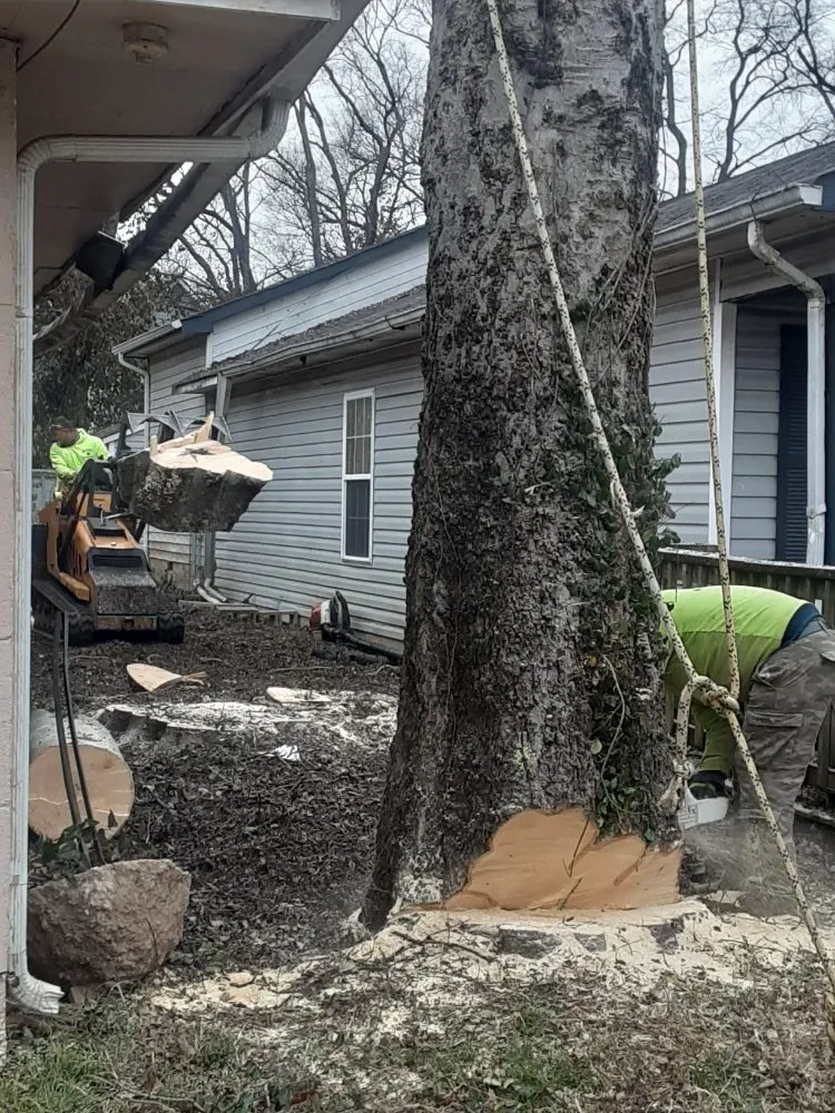 Reliable garden landscaping for outdoor upgrades across Nolensville, TN - Extreme Tree and Landscapes