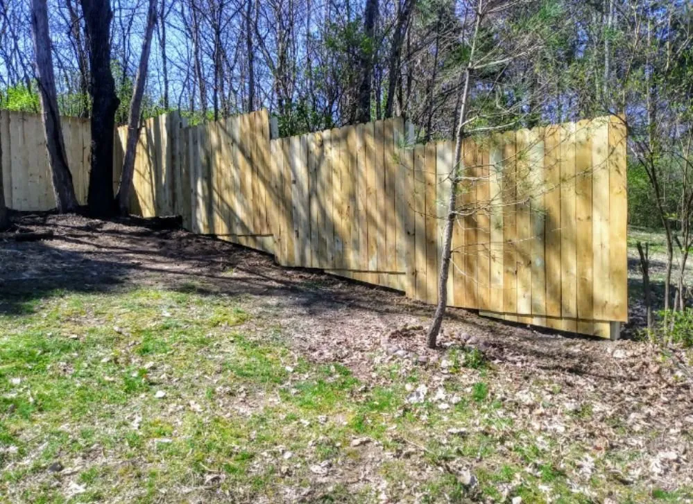 Expert yard cleanup service in Nolensville, TN by Extreme Tree and Landscapes