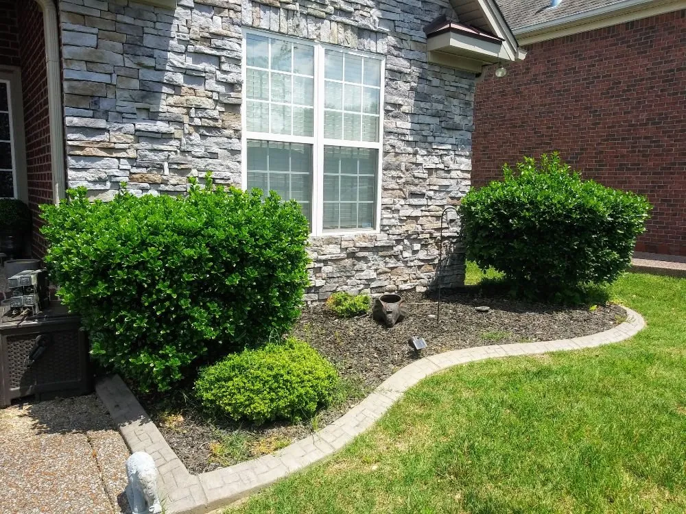 Affordable landscaping services in Nolensville, TN - Extreme Tree and Landscapes
