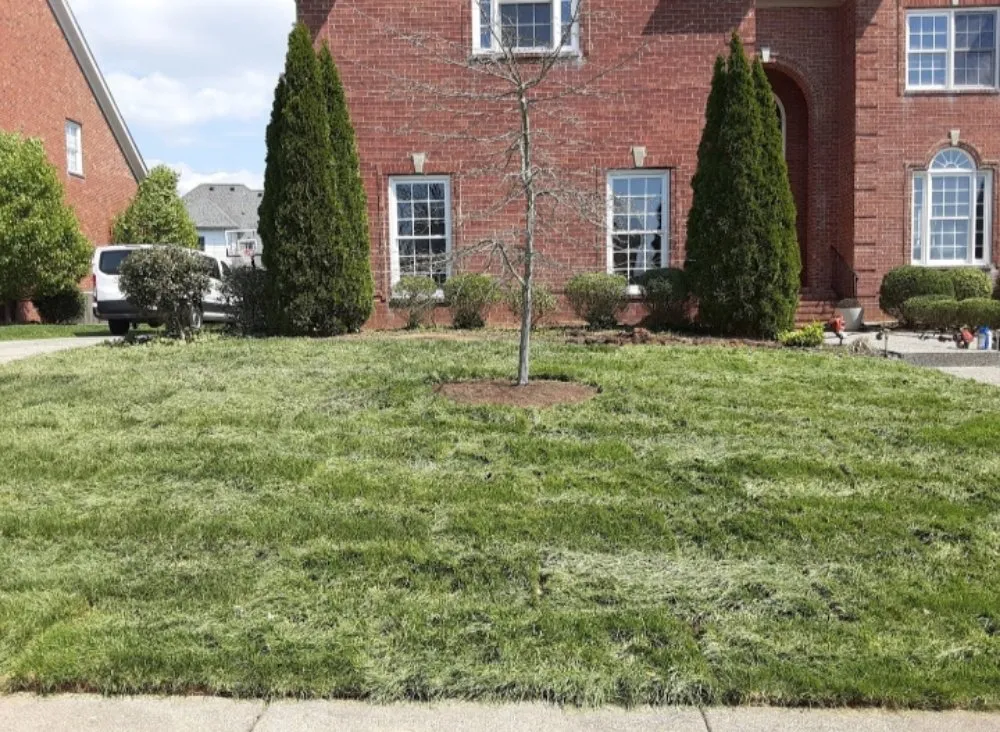 Custom yard cleanup service in Nolensville, TN - Extreme Tree and Landscapes