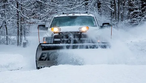 Reliable yard maintenance in Reeseville, WI by Extreme Tree Care