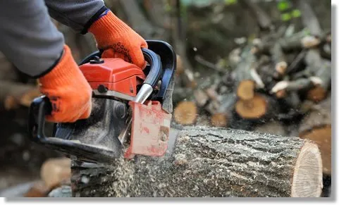 Extreme Tree Care Logo