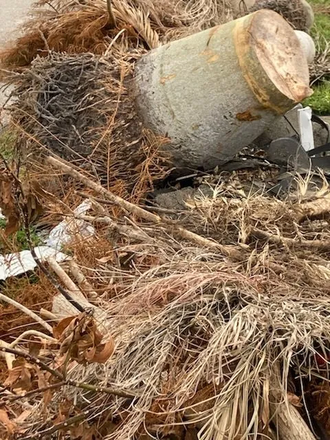 Professional landscaping services in Lighthouse Point, FL by Extreme Tree Service And Landscaping