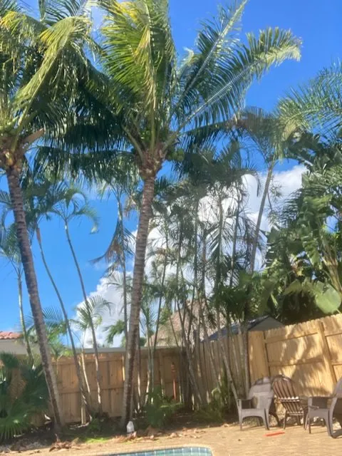 Affordable residential landscaping experts serving Lighthouse Point, FL - Extreme Tree Service And Landscaping