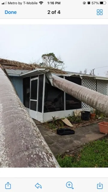 Top-rated residential landscaping experts serving Lighthouse Point, FL - Extreme Tree Service And Landscaping