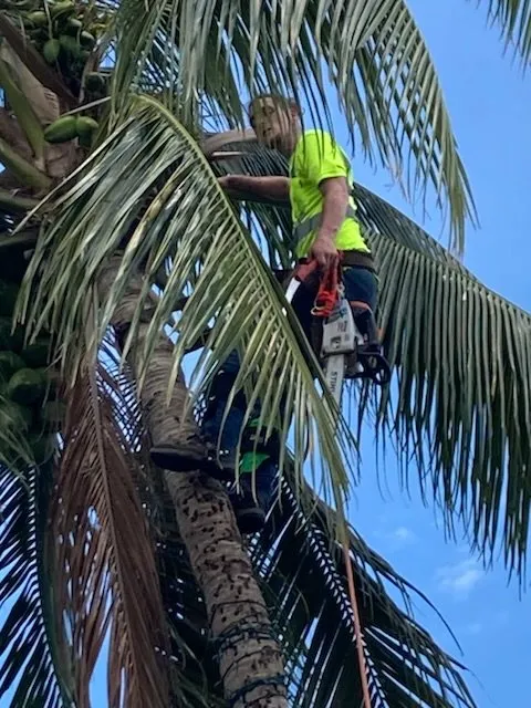 Top-rated landscape design in Lighthouse Point, FL by Extreme Tree Service And Landscaping