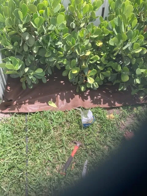 Affordable landscaping services in Lighthouse Point, FL - Extreme Tree Service And Landscaping