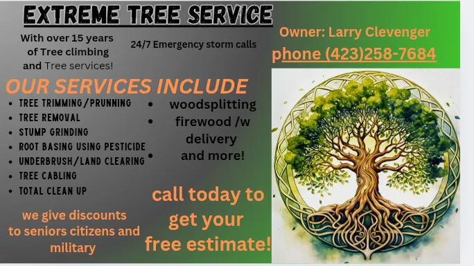 Professional yard maintenance experts serving Jefferson City, TN - Extreme Tree Service