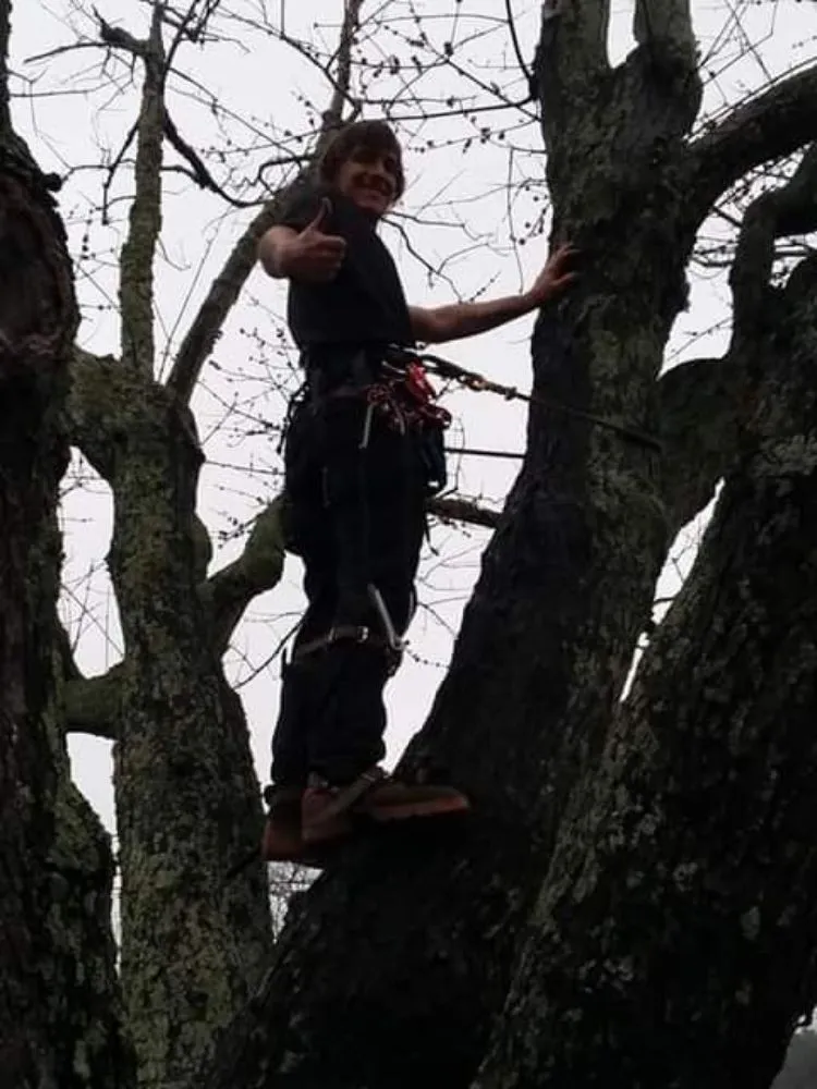 Professional landscaping services for homes in Jefferson City, TN by Extreme Tree Service